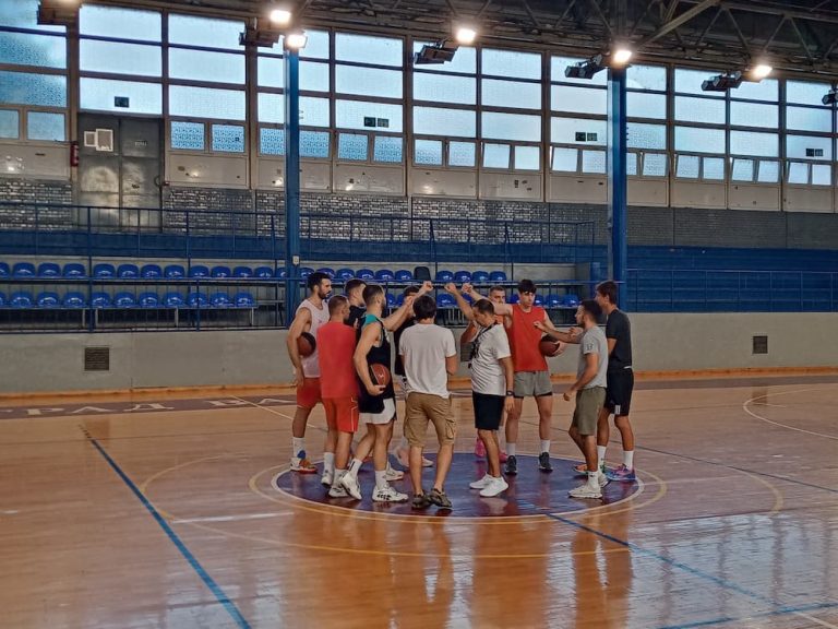 metalac timska